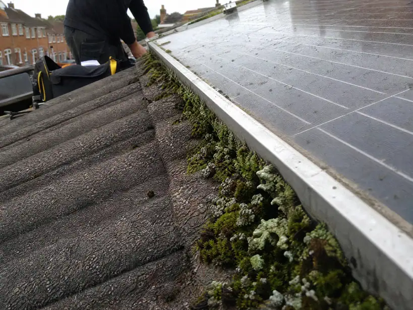 Moss and lichen on the edge of a solar panel before cleaning, Birmingham